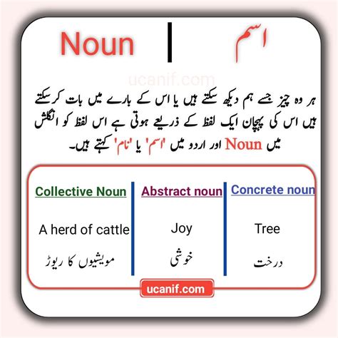 Meaning of Effort in Urdu .